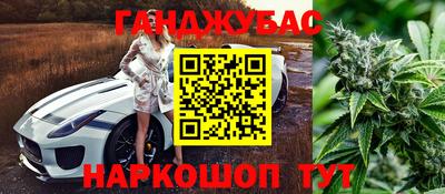 ешки Бийск