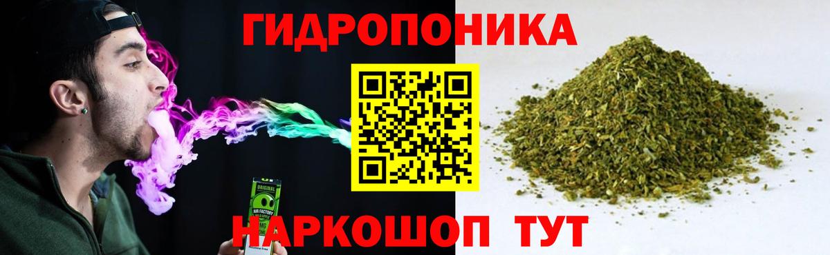 Каннабис Amnesia  Бошки марихуана White Widow  Марихуана планчик  Коломна  Вход с VPN 